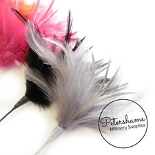 Fluffy Goose Biot & Hackle