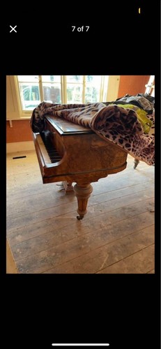 Bluthner baby grand piano - baby,