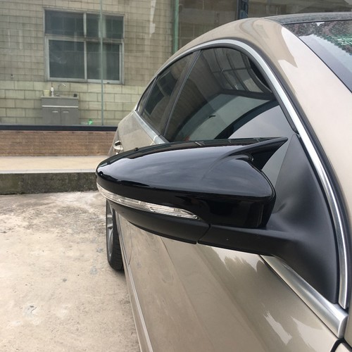 Pair gloss black wing - wing, mirror