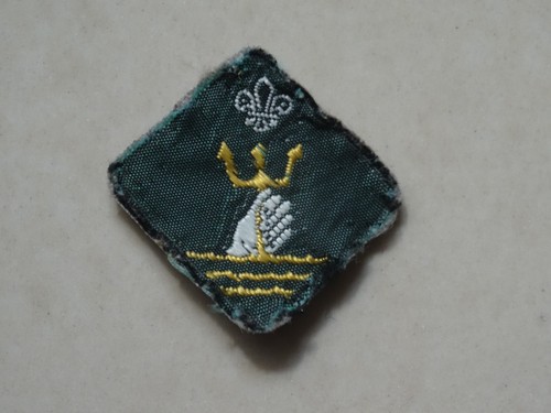 Scout proficiency badge skin - proficiency,