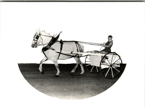 Vintage black white - black, &