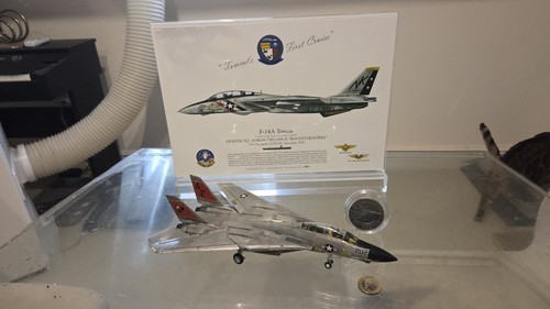 F14 tomcat plastic - plastic, model