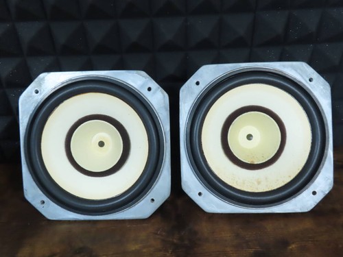 Fostex oem double - oem?, 8"