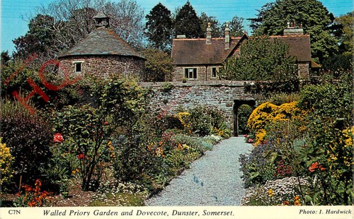 Picture postcard dunster - picture, postcard~
