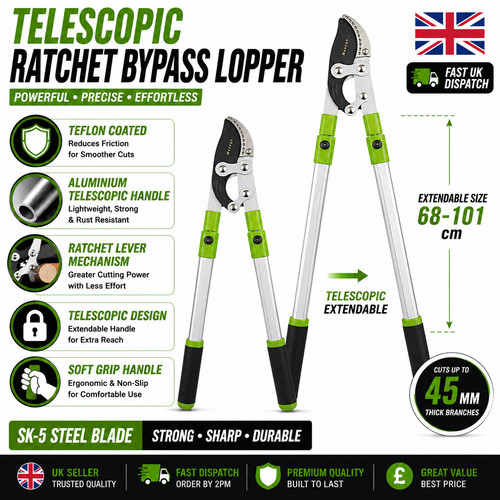 Extendable ratchet bypass - extendable,