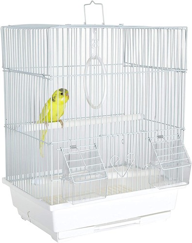 Santa cruz small bird travel - cruz,
