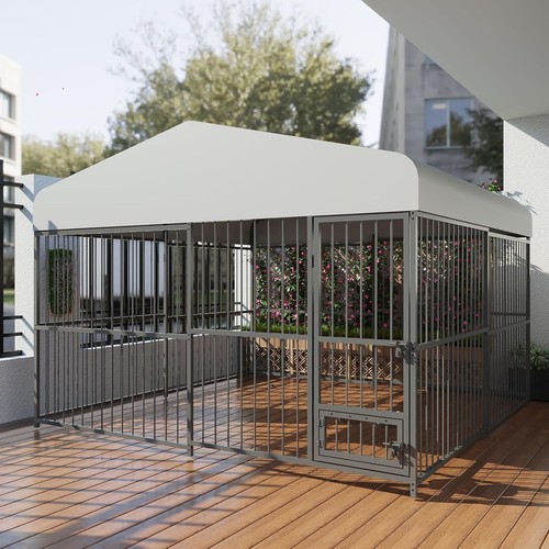 Large outdoor dog - outdoor,