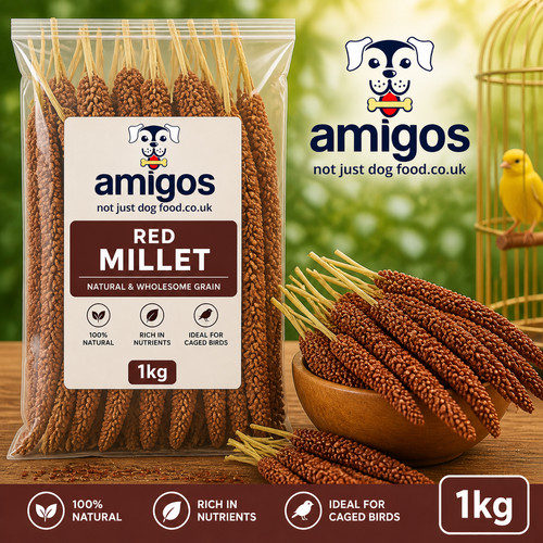 1kg red millet spray seeds - spray, –
