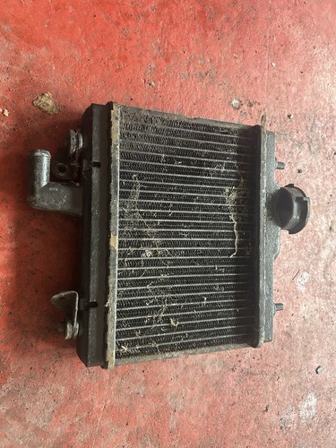 Honda ns125r radiator rad - honda, radiator/