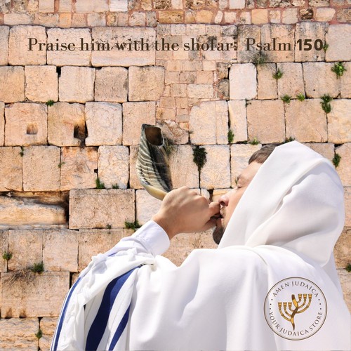 Ram horn blowing shofar - ram,