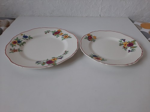 Vintage corona ware - corona, floral