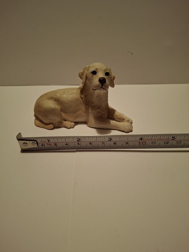 Yellow labrador puppy - yellow, lying