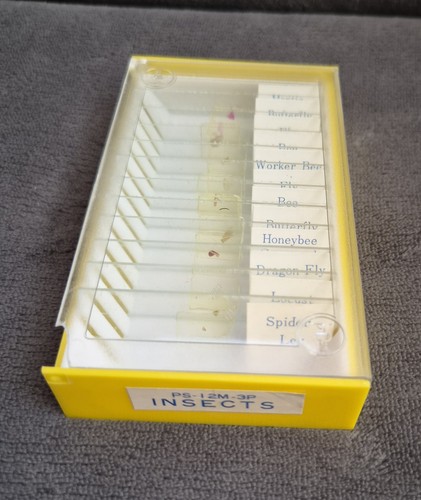 Boxed set twelve microscope - set,