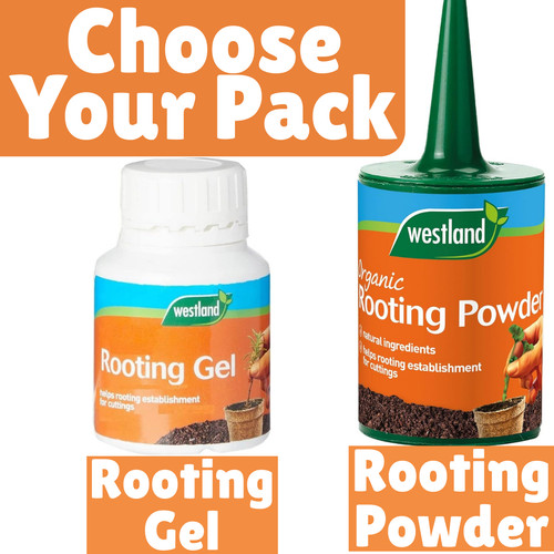 Rooting powder gel dip plant - rooting,