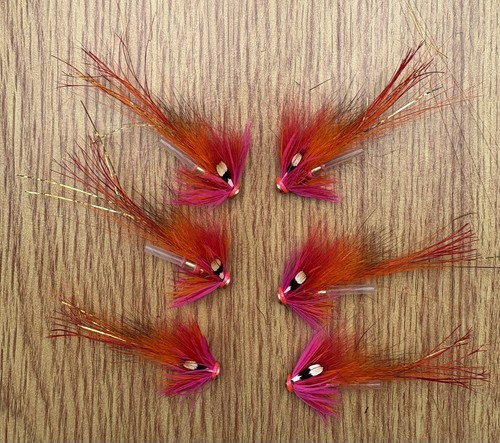 Orange pink shrimp - x,