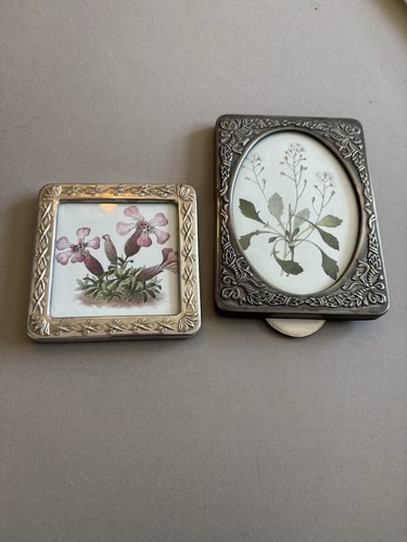 Framed botanical print vintage - botanical,