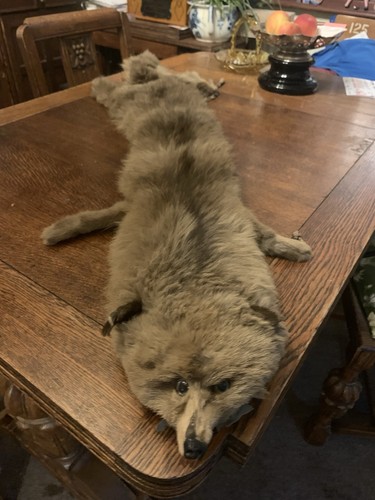 Fox fur antique - was, our