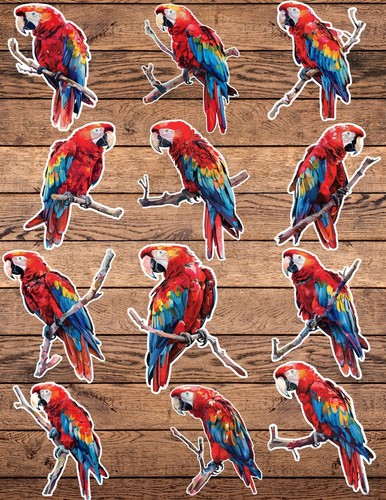 Macaw parrot die cut vinyl - macaw,