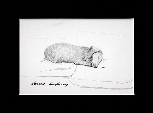 David hockney signed postcard - david,