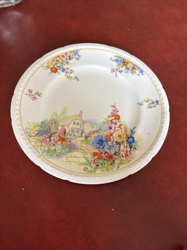 Vintage plate swinnertons - vintage,