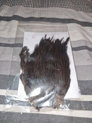 Cock cape fly tying - cock,