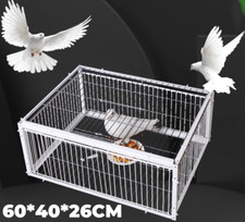 Pigeon Trap With Four Channel