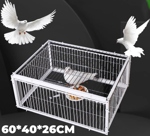 Pigeon trap with four channel - pigeon,