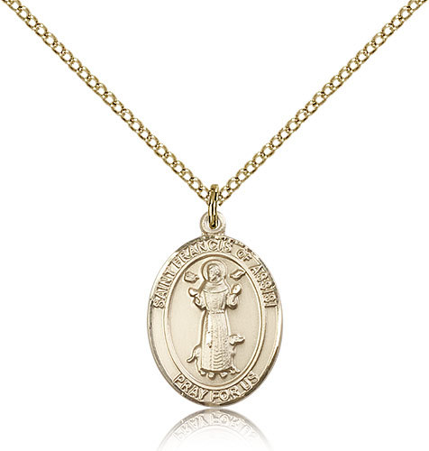 Saint francis assisi - francis, of