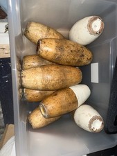 Nine Wooden Skittles Pins &