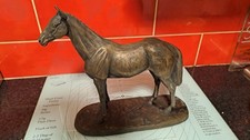 Harriet glenArkle horse in