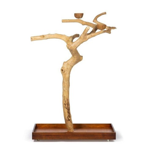 Java wood tree - ii,