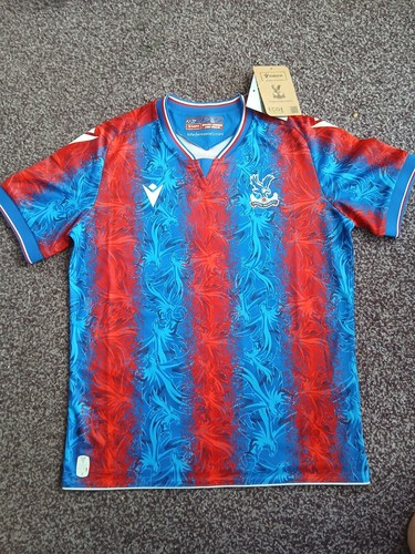 2024 crystal palace fc - crystal,