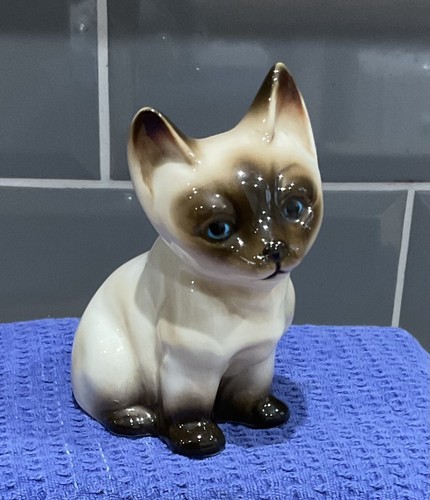 Vintage cute siamese kitten - vintage,
