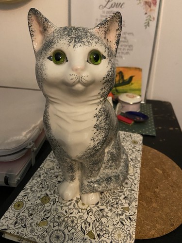 Just cats co staffordshire - &,
