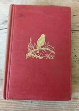 British Birds W.H. Hudson
