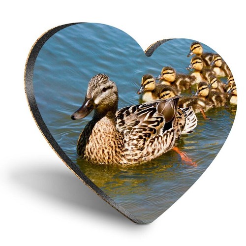 Heart mdf coaster - coaster, mallard