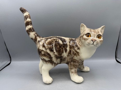 New winstanley tabby cat size - winstanley,