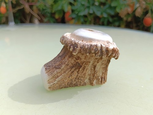 Polished deer antler - polished,