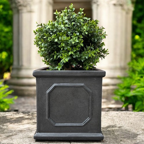 22cm chelsea box planter - chelsea,