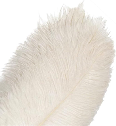 10pcs bulk natural white - 10pcs,