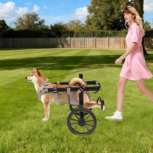 Pet mobility aid adjustable - mobility,