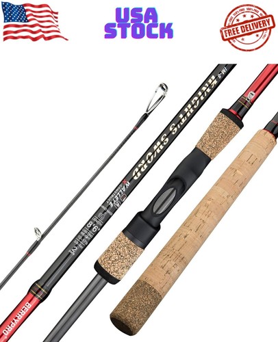 Salmon steelhead spinning - salmon,