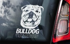 Bulldog on Board, Car Window