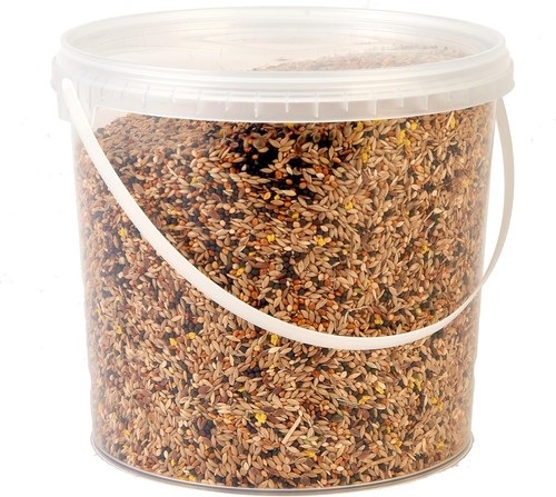 Premium canary seed mix food - seed,