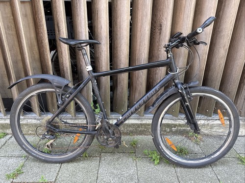 Men hybrid bike cannondale - hybrid,