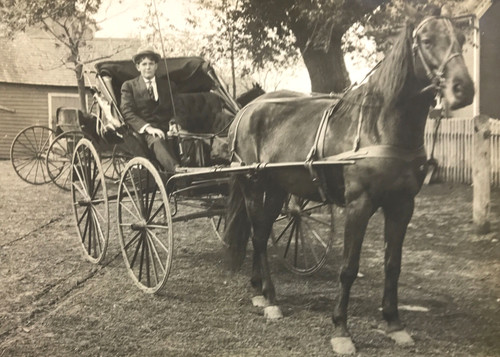 Antique rppc horse - rppc, drawn