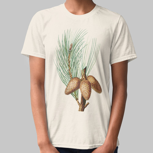 Pitch pine vintage botanical - pine,
