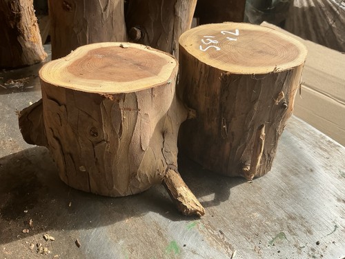 Yew rounds - yew,yew,