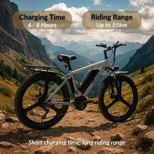 MOVIN M1 Electric Mountain