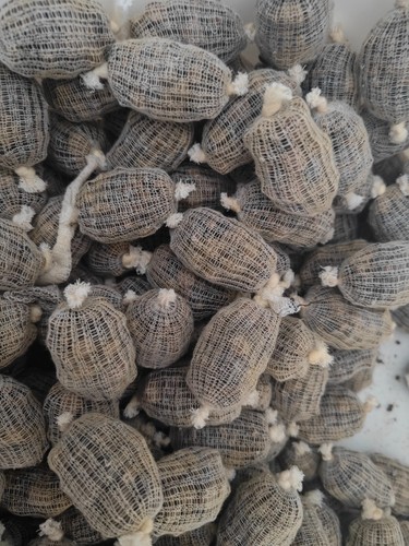 Prefilled mini pva mesh carp - mini,